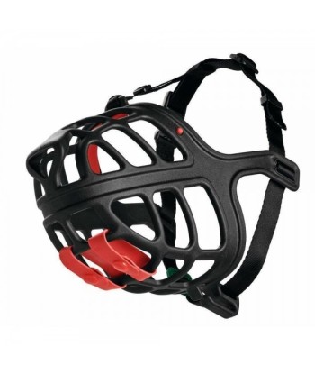 Bozal Hunter Albury Negro 4