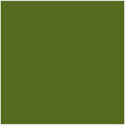 Cartulina Iris Verde militar 50 x 65 cm